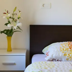 https://apartments-muciceva-ravan.in-istria.net